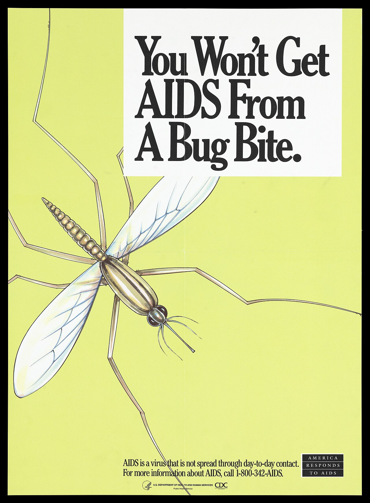 America Responds to AIDS poster: "You Won't Get AIDS From A Bug Bite."