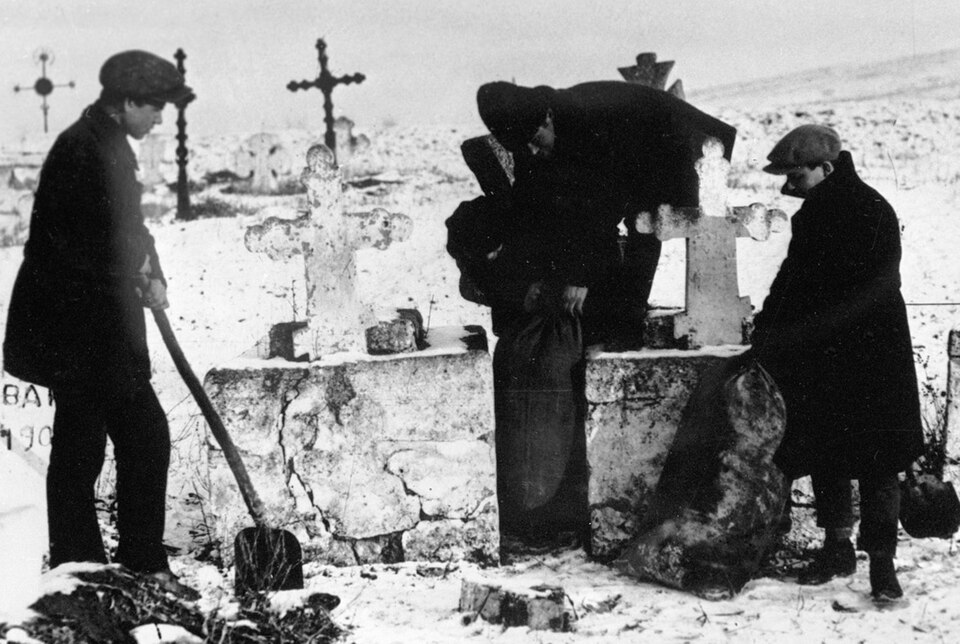 Photograph: young men digging and bagging grain among snow-covered grave crosses in a cemetery