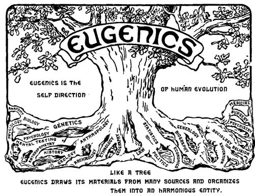 Logo of the Second International Congress of Eugenics, 1921: a tree labelled "Eugenics" with roots named for sciences, and the motto "Eugenics is the self direction of human evolution"