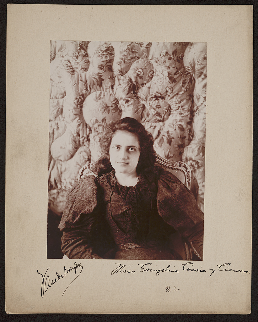 Portrait of Evangelina Cosío y Cisneros seated before a floral backdrop