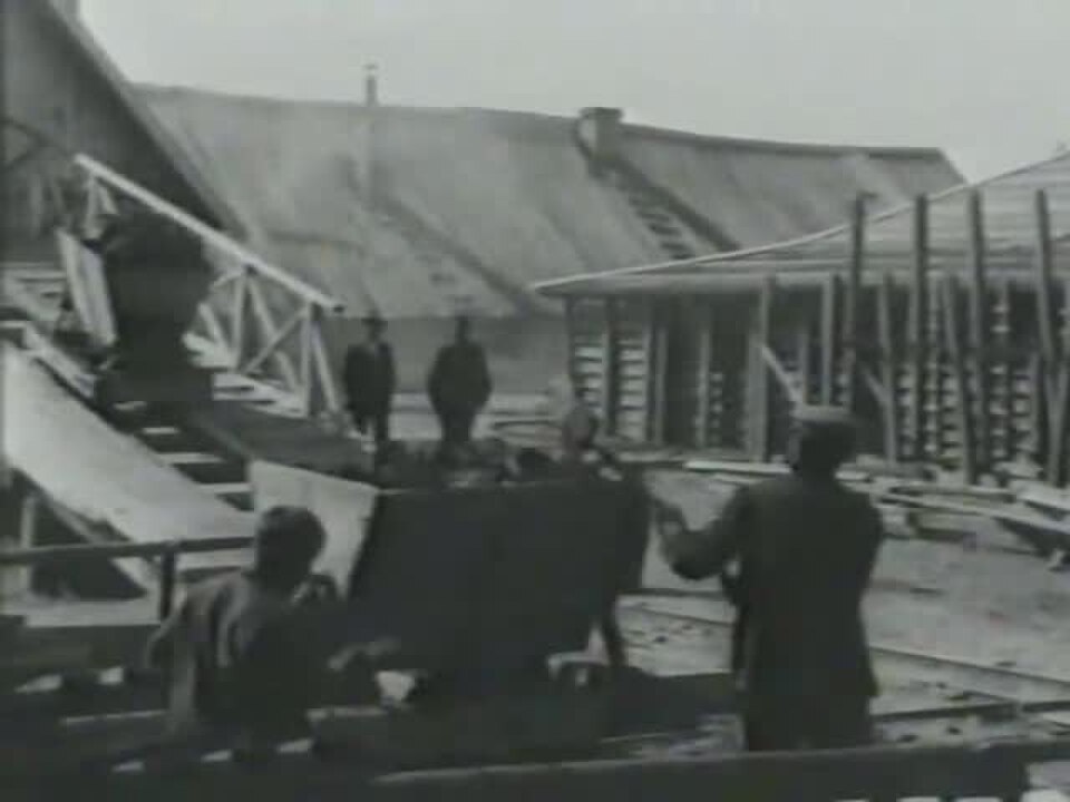 Frame from the 1928 Sovkino documentary Solovki: men and a draught animal beside timber buildings