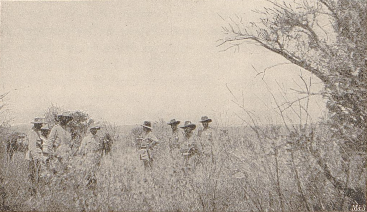 General von Trotha and his staff in the bush at Hamakari, 1904