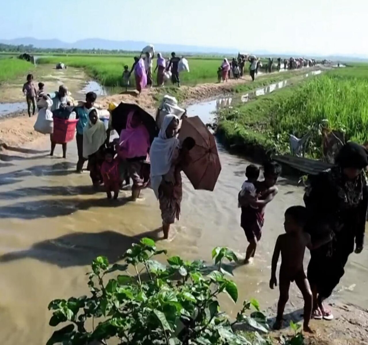 Rohingya refugees entering Bangladesh, 2017