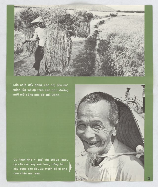 Ba Canh Hamlet: Ripe Rice and Mr. Phan Nho