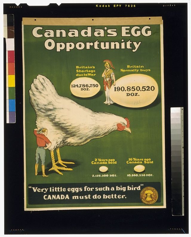 Canada's egg opportunity (Canada Food Board)