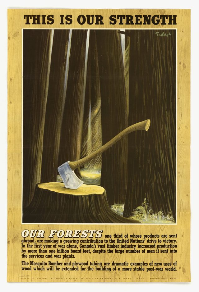 This Is Our Strength - Our Forests