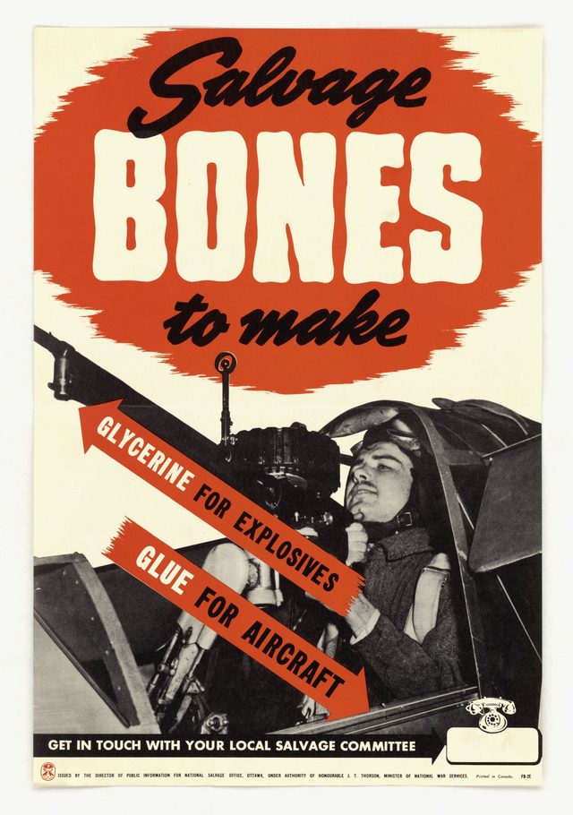 Salvage Bones to make Glycerine for Explosives, Glue for Aircraft