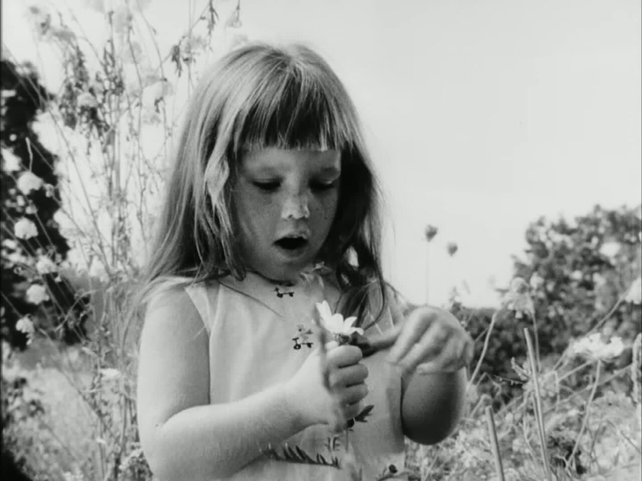 Frame from the 1964 "Daisy" advertisement