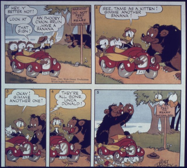 Donald Duck and the bear (Disney, do not feed the bears)