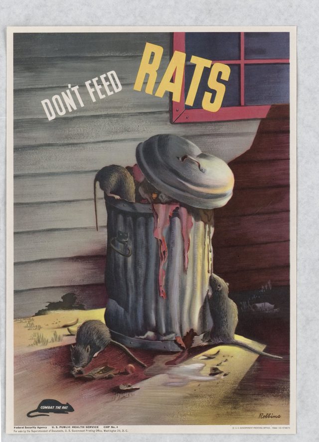 Don't feed rats