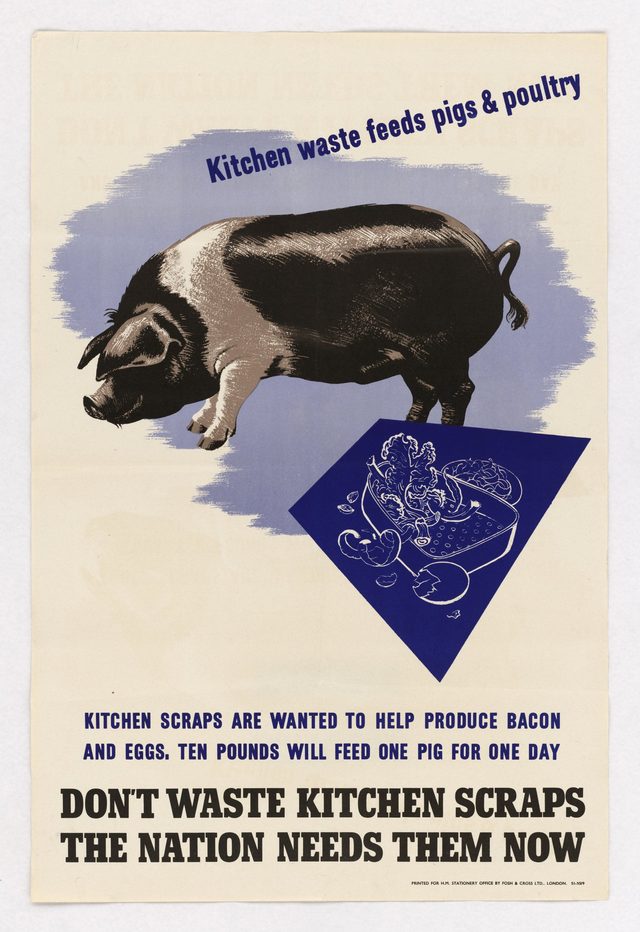 Don't Waste Kitchen Scraps: The Nation Needs Them Now
