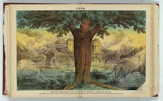The new Democratic eucalyptus tree purifies a political morass