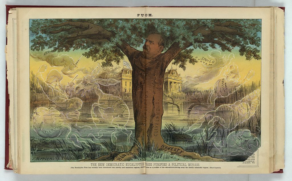 The new Democratic eucalyptus tree purifies a political morass, Puck, 27 August 1884