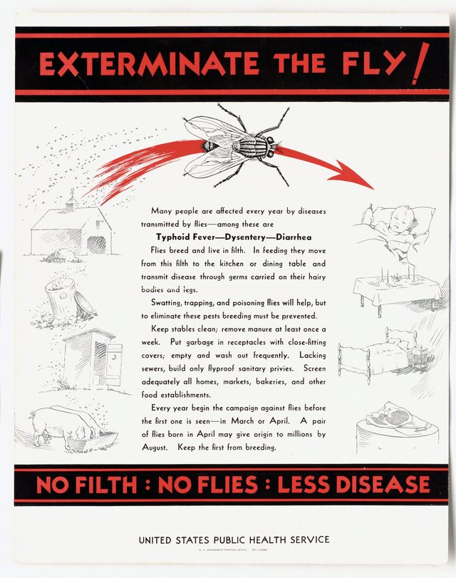 Exterminate the Fly!