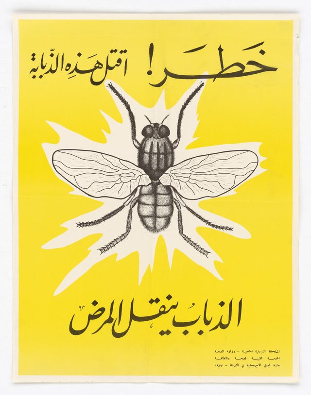 Danger! Kill This Fly - Flies Carry Disease (Arabic poster distributed in Amman)