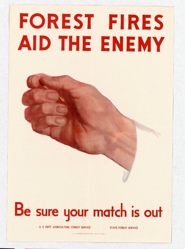 Forest fires aid the enemy, be sure your match is out