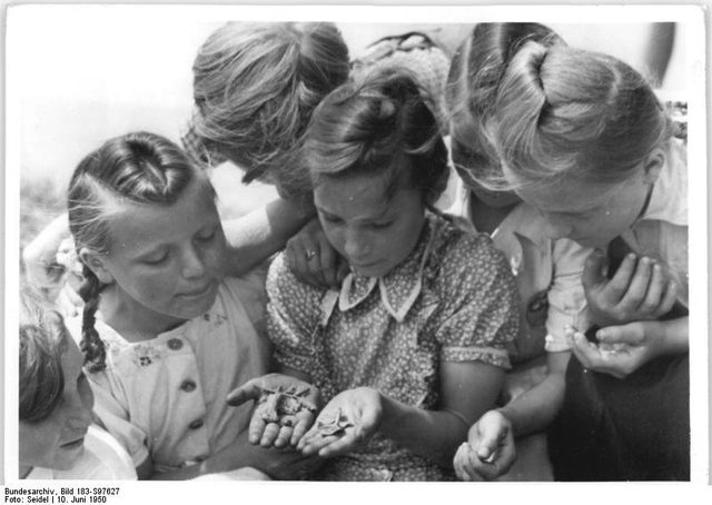 Children examine collected Colorado beetles during the "American beetle" campaign, Chemnitz district
