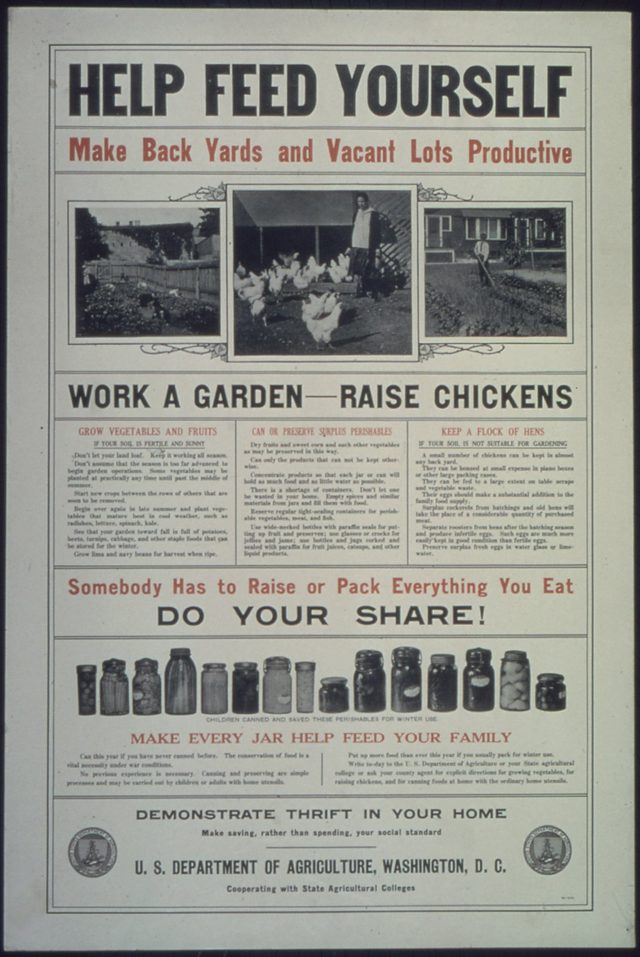 Help Feed Yourself: Make Back Yards and Vacant Lots Productive