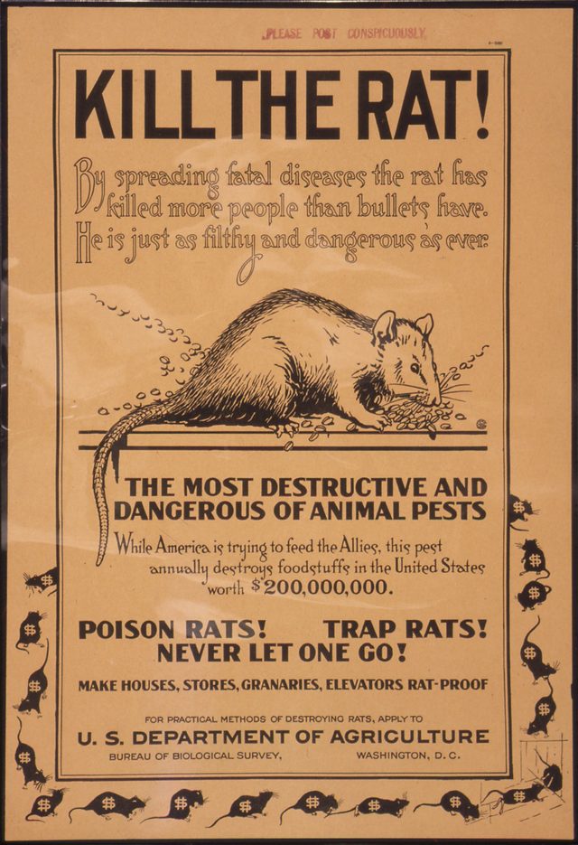 Kill the Rat! The Most Destructive and Dangerous of Animal Pests