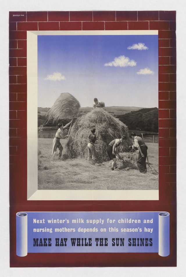 Next Winter's Milk Supply for Children and Nursing Mothers Depends on This Season's Hay: Make Hay While the Sun Shines