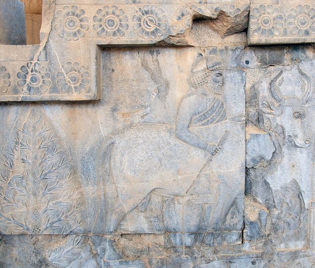 Persepolis, Apadana staircase relief: a figure with an animal from a procession of delegations, early fifth century BCE