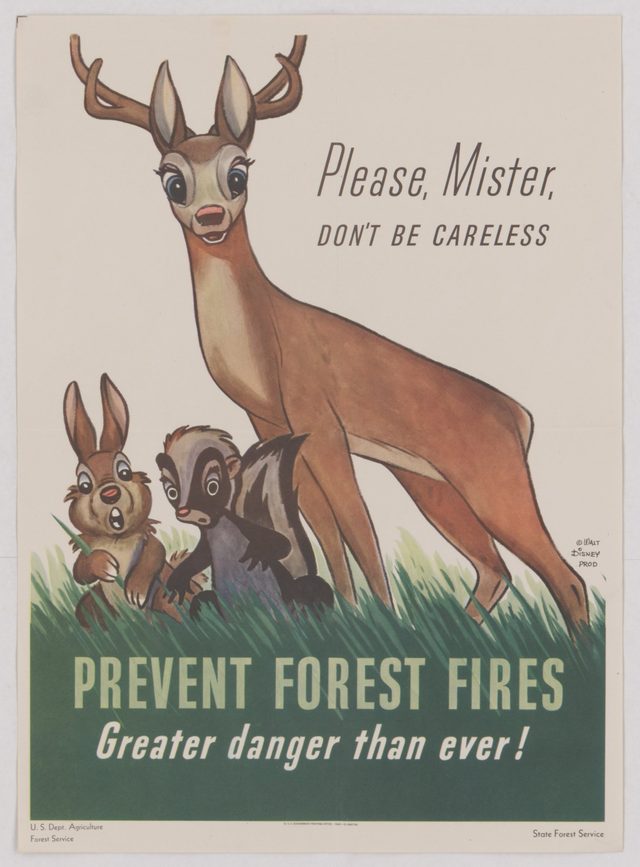 Please, Mister, don't be careless. Prevent forest fires. Greater danger than ever!