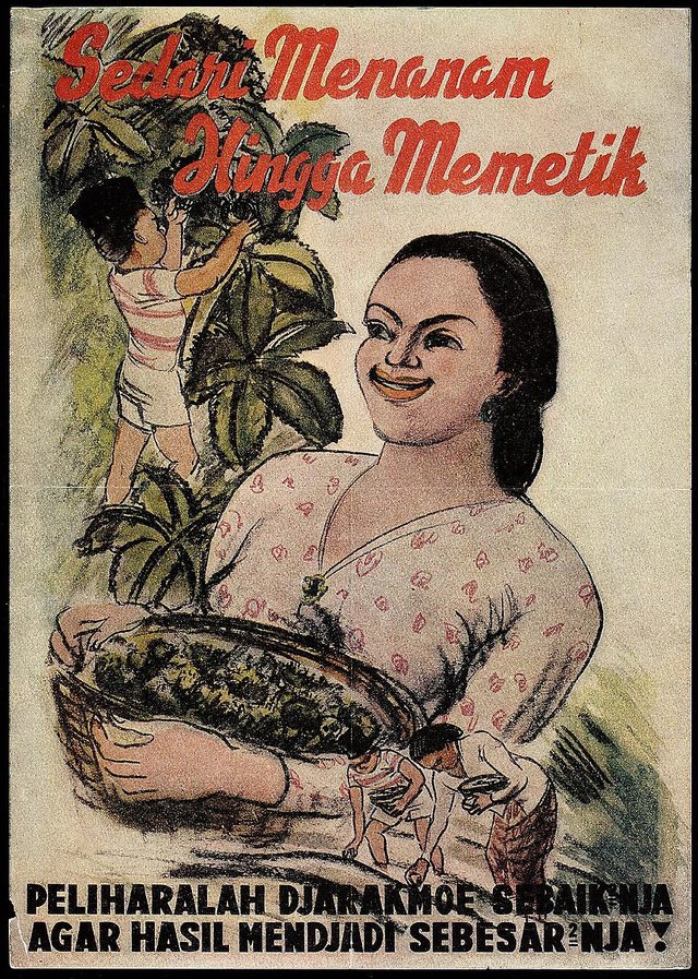 Sedari Menanam Hingga Memetik (From Planting to Harvest)