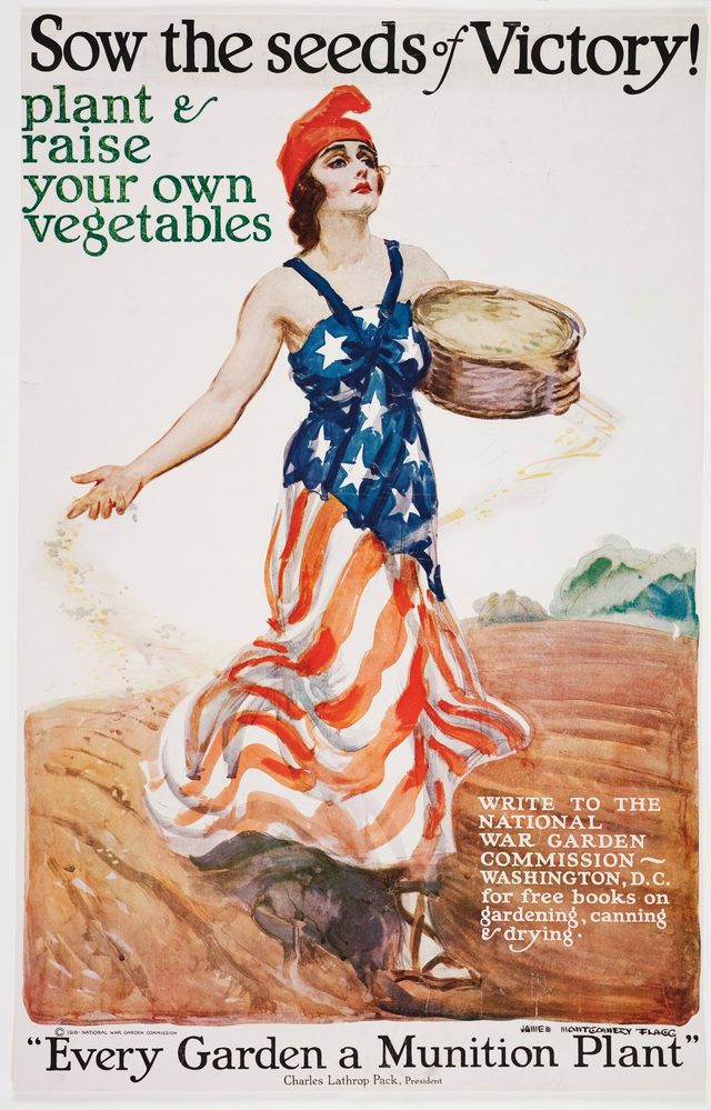 Sow the Seeds of Victory! Plant and Raise Your Own Vegetables