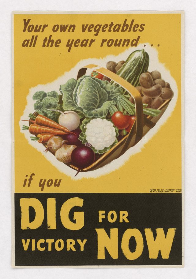 Your Own Vegetables All the Year Round ... If You Dig for Victory Now