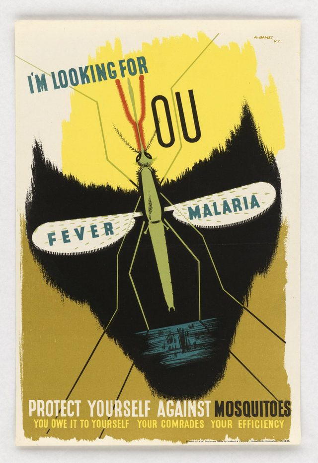 I'm Looking for You - Fever - Malaria