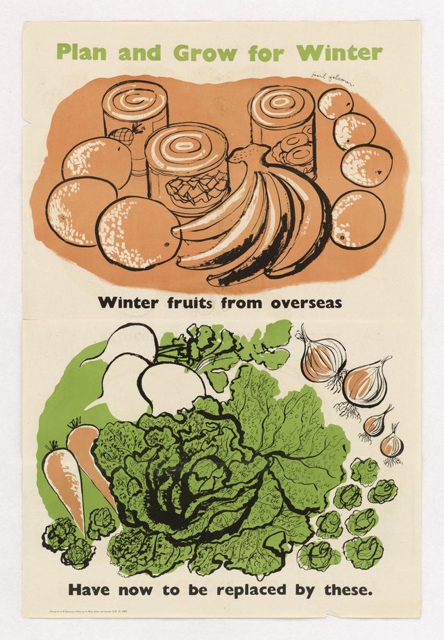 Plan and Grow for Winter: Winter Fruits from Overseas Have Now to be Replaced by These