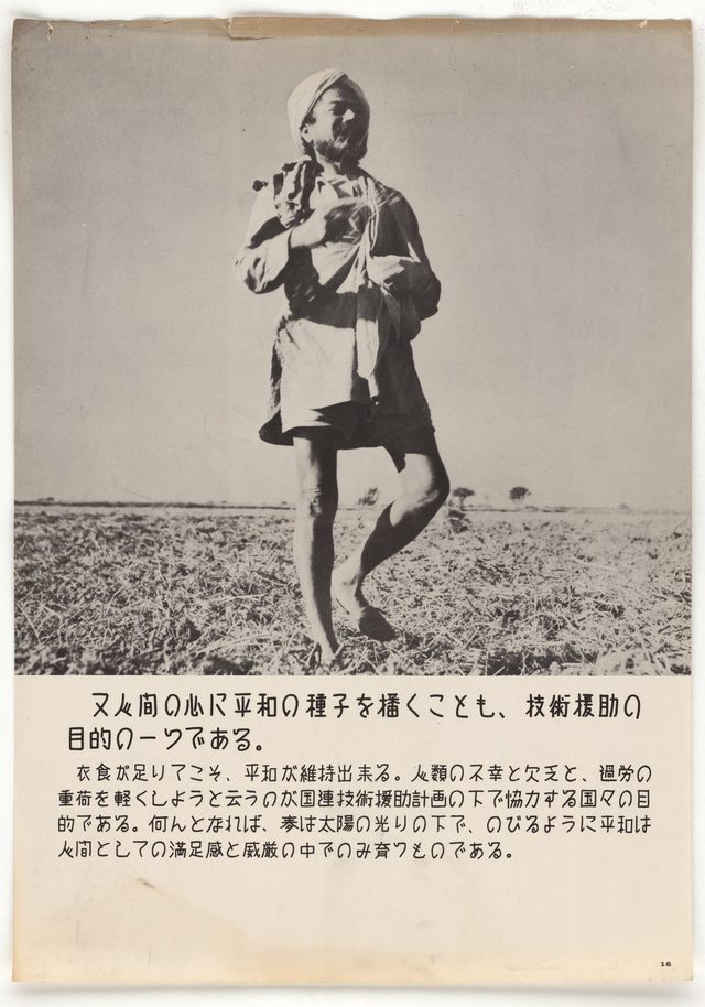 U.N. Day Poster #16: Sowing Seeds of Peace in Human Hearts (Japanese poster distributed in Asia)