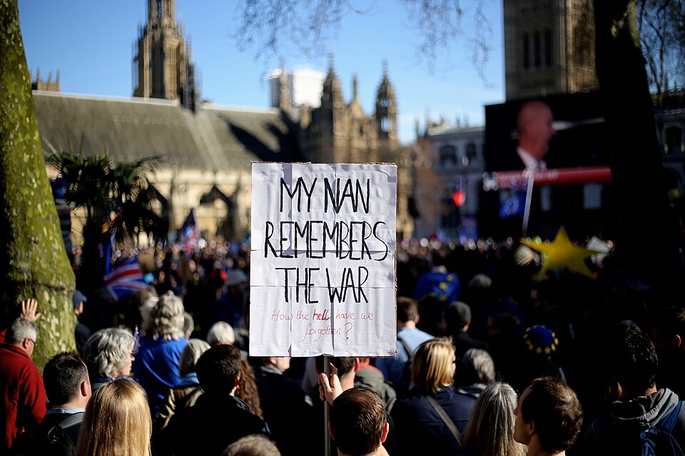Placard reading My nan remembers the war, how the hell have we forgotten, held above a crowd at a pro-EU march in London
