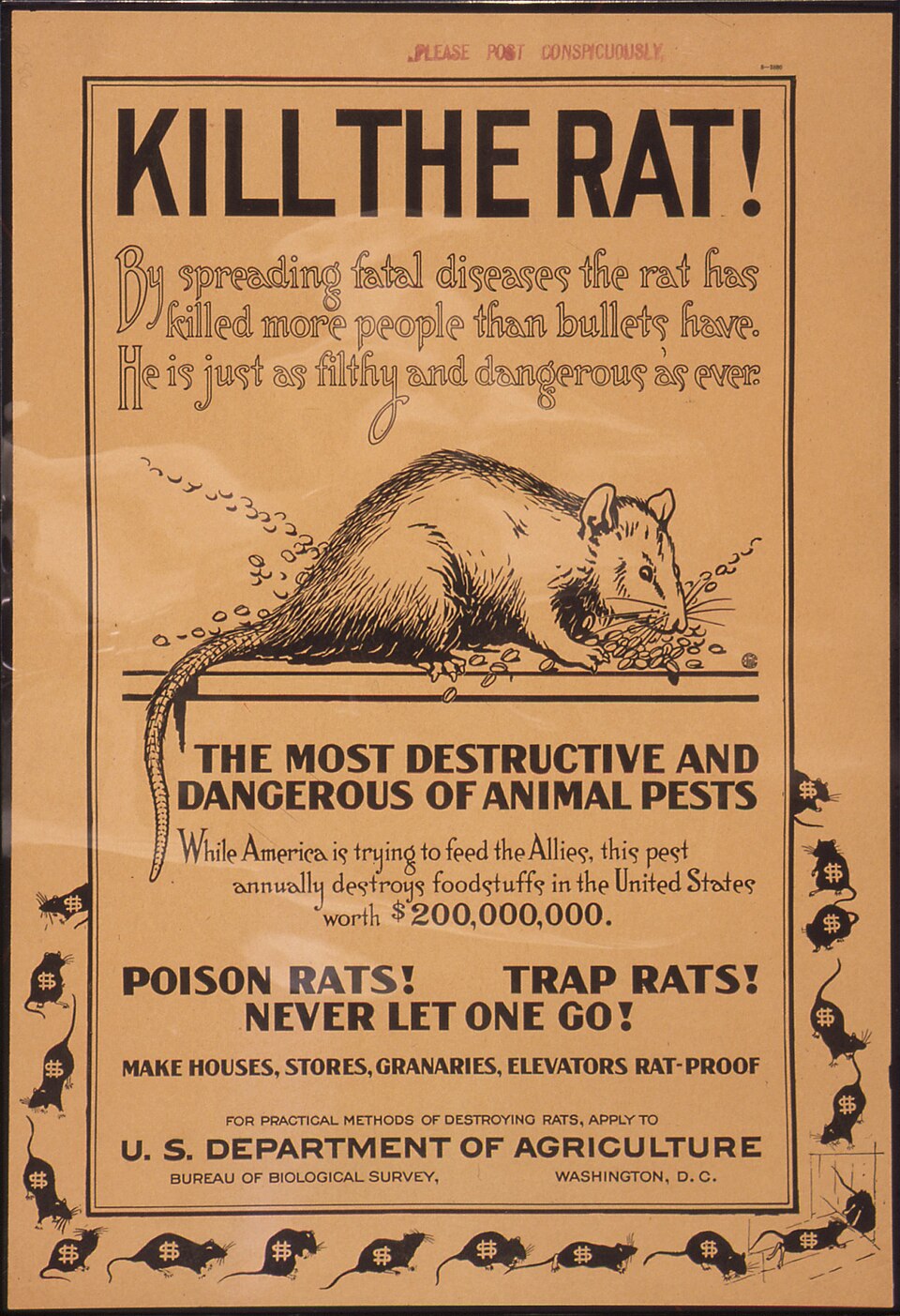 US poster Kill the Rat! showing a large rat among grain