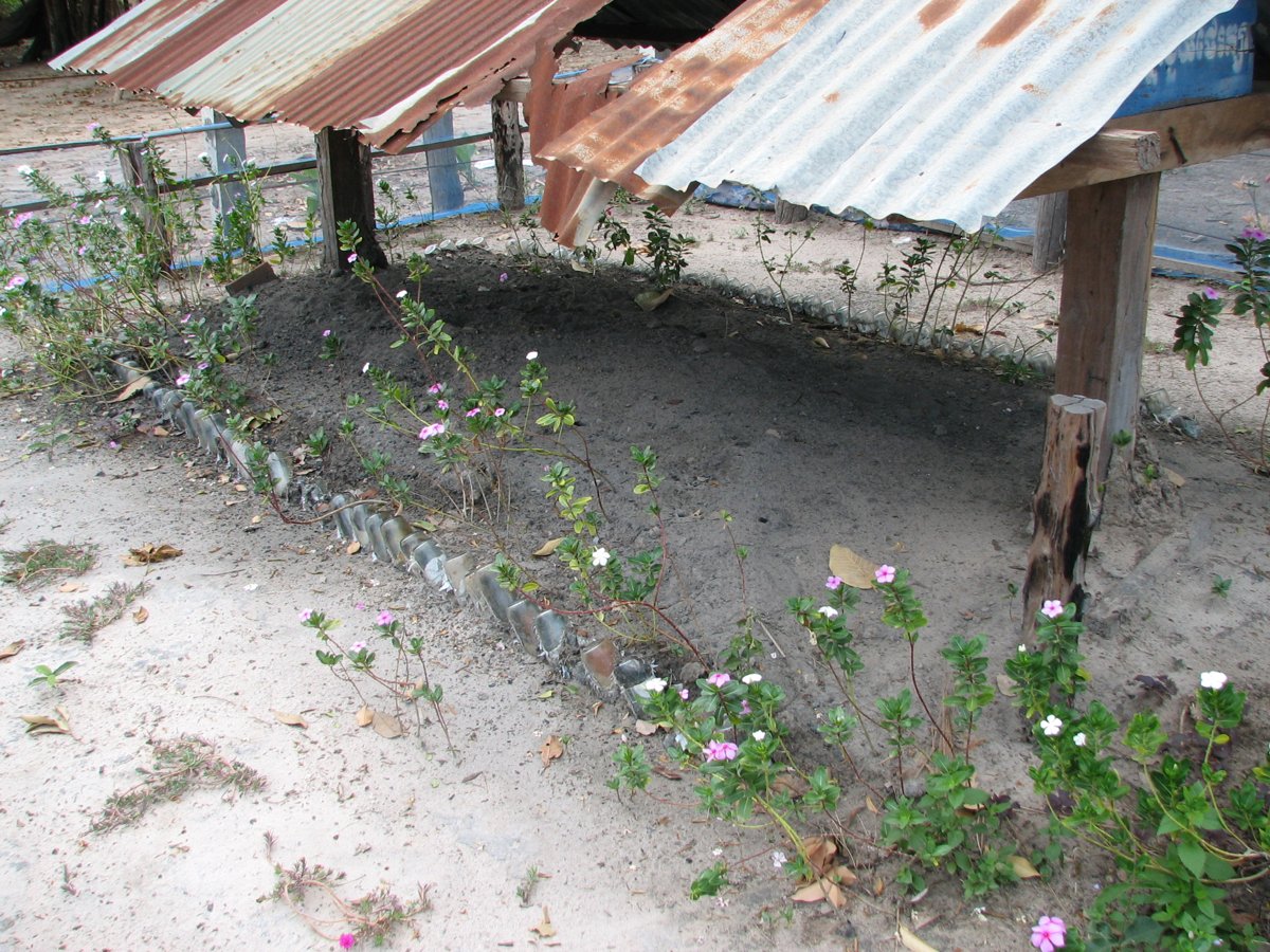 A low mound of dark ash and earth edged with a row of upturned glass bottles and flowering plants, beneath a corrugated iron roof on wooden posts